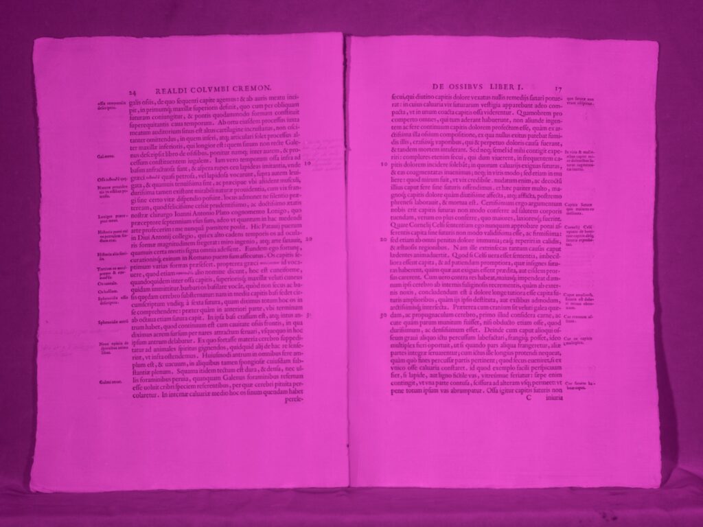 Analisi all’infrarosso di una pagina del De re anatomica